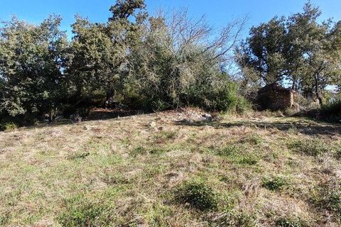 Terra a Ansiao, Leiria, Ansiao - € 34.900 | Ref: 888589 - foto 10