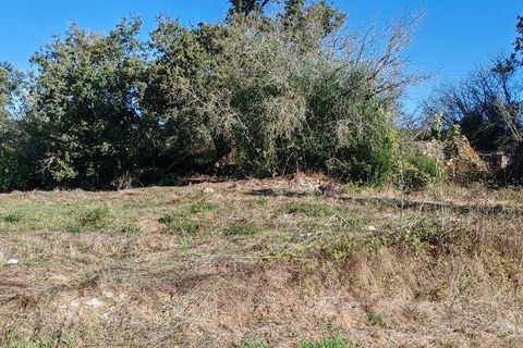 Terra a Ansiao, Leiria, Ansiao - € 34.900 | Ref: 888589 - foto 13
