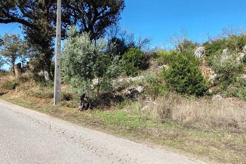 Terra a Ansiao, Leiria, Ansiao - € 34.900 | Ref: 888589 - foto 14