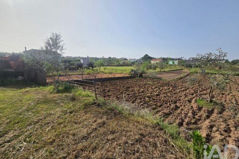 Byhus i Tabua, Coimbra, Tabua - € 119.900 | Ref: 885406 - foto 19