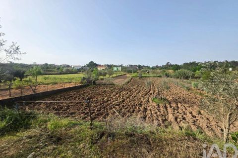 Byhus i Tabua, Coimbra, Tabua - € 119.900 | Ref: 885406 - foto 21
