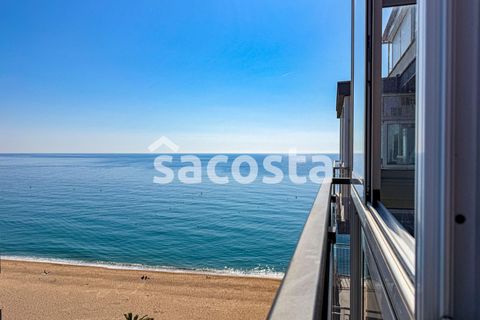 1-Zimmerwohnung in Blanes, Gerona - Foto 3