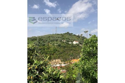 Helårsgrund i Camarate, Lisbon, Camarate - € 400.000 | Ref: 5607/RC - foto 8