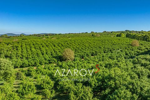 Villa a Vetralla, Viterbo, Vetralla - € 1.700.000 | Ref: 6010 - foto 19