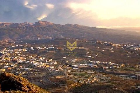 Terra a Granadilla, Tenerife, Granadilla - € 260.000 | Ref: P00099/13668 - foto 8