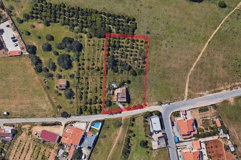 Helårsgrund i Albufeira, Faro, Albufeira - € 595.000 | Ref: TER4504 - foto 8