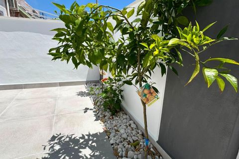 Bungalow i Torrevieja, Alicante, Torrevieja - € 160.000 | Ref: 27-70-220-11-556/77233 - foto 6