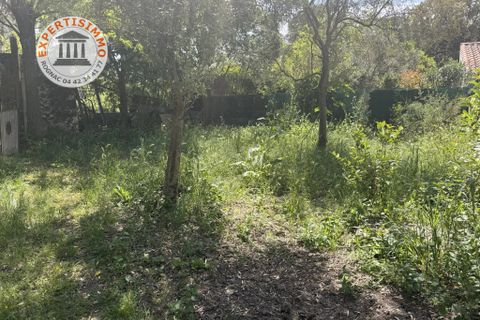 Villa i Cabriès, Bouches-du-Rhone, Cabriès - € 450.000 | Ref: 86973731 - foto 2