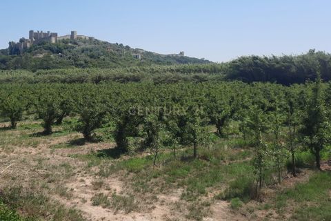 Helårsgrund i Obidos, Leiria, Obidos - € 95.000 | Ref: C0409-02032 - foto 10