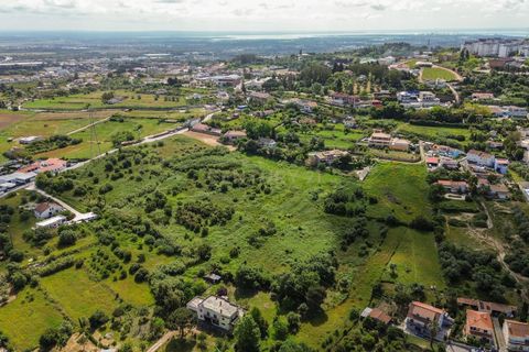Helårsgrund i Palmela, Setubal, Palmela - € 1.500.000 | Ref: C0237-03815 - foto 9