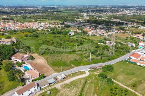 Helårsgrund i Palmela, Setubal, Palmela - € 1.500.000 | Ref: C0237-03815 - foto 12