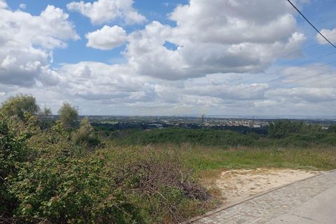 Helårsgrund i Palmela, Setubal, Palmela - € 1.500.000 | Ref: C0237-03815 - foto 18