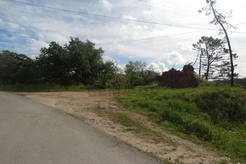 Helårsgrund i Batalha, Leiria, Batalha - € 15.000 | Ref: SÒL_161 - foto 4