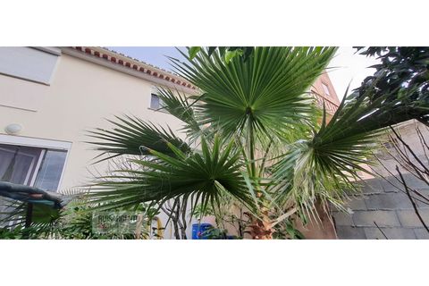 Villa i Castelo Branco, Castelo Branco, Castelo Branco - € 125.000 | Ref: CAS_262RS280426 - foto 28