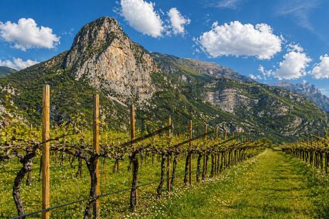 Terra a Dro, Trento, Dro - € 1.100.000 | Ref: T-AG-068 - foto 2