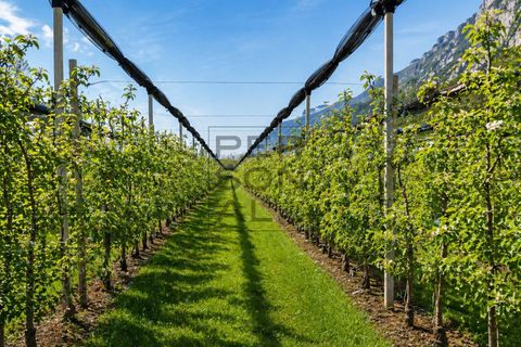 Terra a Dro, Trento, Dro - € 1.100.000 | Ref: T-AG-068 - foto 3