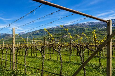 Terra a Dro, Trento, Dro - € 1.100.000 | Ref: T-AG-068 - foto 4