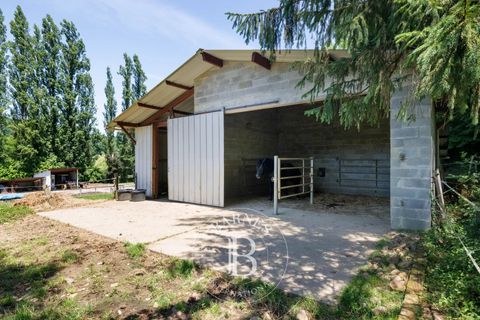 Villa i Morlaas, Pyrenees-Atlantiques, Morlaas - € 545.000 | Ref: M1860 - foto 21