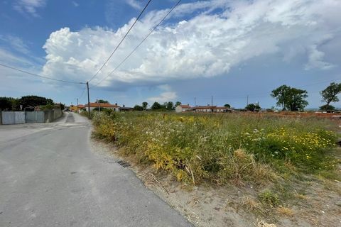 Helårsgrund i Murtosa, Aveiro, Murtosa - € 38.000 | Ref: 585_01 - foto 1