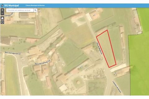 Helårsgrund i Murtosa, Aveiro, Murtosa - € 38.000 | Ref: 585_01 - foto 3