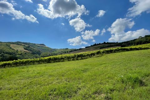 Villa i Ripatransone, Ascoli Piceno, Ripatransone - € 650.000 | Ref: 7040 - foto 3