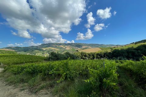 Villa i Ripatransone, Ascoli Piceno, Ripatransone - € 650.000 | Ref: 7040 - foto 12