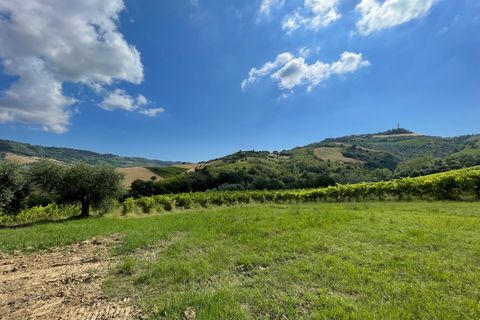 Villa i Ripatransone, Ascoli Piceno, Ripatransone - € 650.000 | Ref: 7040 - foto 13