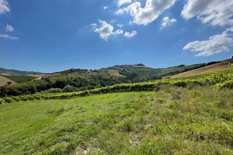 Villa i Ripatransone, Ascoli Piceno, Ripatransone - € 650.000 | Ref: 7040 - foto 19