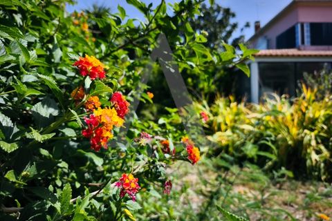 Farm i Palmela, Setubal, Palmela - € 599.500 | Ref: AP001.68 - foto 2