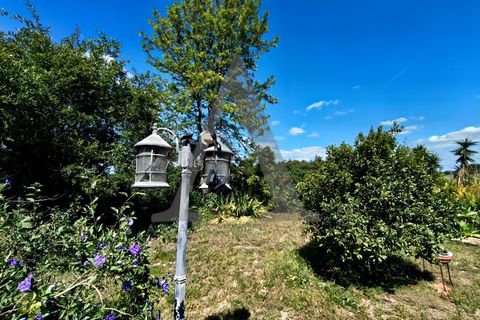 Farm i Palmela, Setubal, Palmela - € 599.500 | Ref: AP001.68 - foto 7