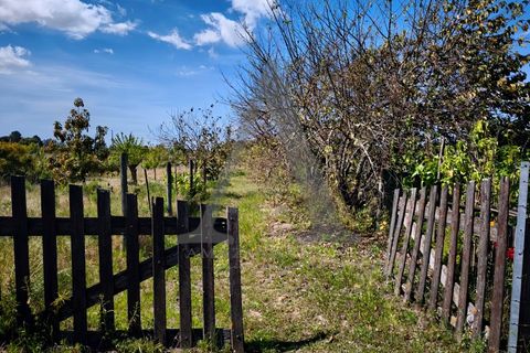 Farm i Palmela, Setubal, Palmela - € 599.500 | Ref: AP001.68 - foto 8