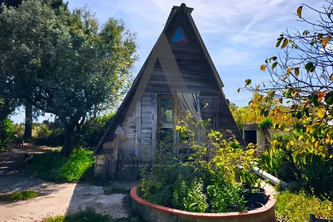 Farm i Palmela, Setubal, Palmela - € 599.500 | Ref: AP001.68 - foto 15