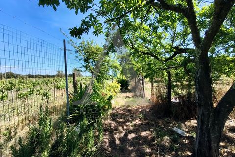 Farm i Palmela, Setubal, Palmela - € 599.500 | Ref: AP001.68 - foto 16