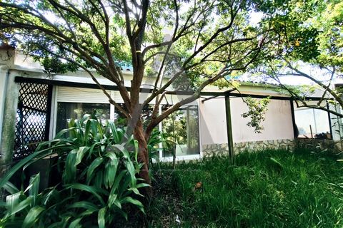 Farm i Palmela, Setubal, Palmela - € 599.500 | Ref: AP001.68 - foto 17