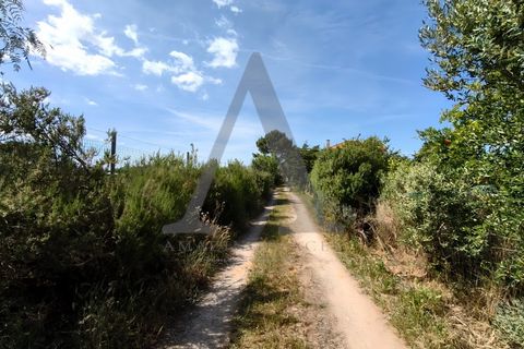 Farm i Palmela, Setubal, Palmela - € 599.500 | Ref: AP001.68 - foto 30