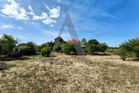Farm i Palmela, Setubal, Palmela - € 599.500 | Ref: AP001.68 - foto 31