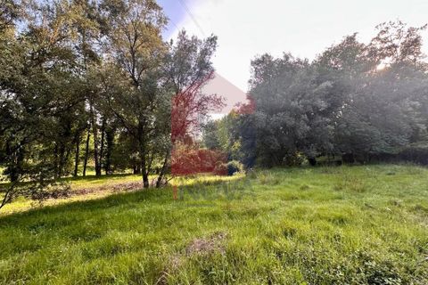 Helårsgrund i Vila Verde, Braga, Vila Verde - € 80.000 | Ref: 08873 - foto 6