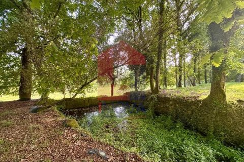 Helårsgrund i Vila Verde, Braga, Vila Verde - € 80.000 | Ref: 08873 - foto 11