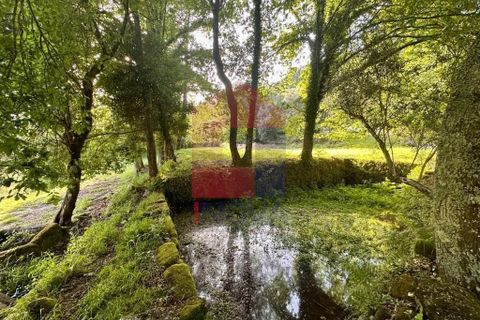 Helårsgrund i Vila Verde, Braga, Vila Verde - € 80.000 | Ref: 08873 - foto 12