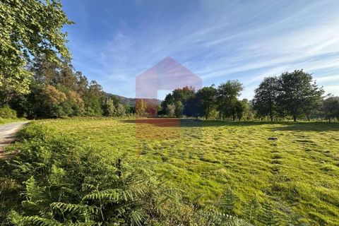 Helårsgrund i Vila Verde, Braga, Vila Verde - € 80.000 | Ref: 08873 - foto 21