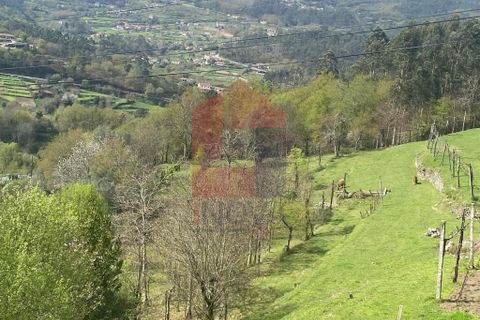 Helårsgrund i Vila Verde, Braga, Vila Verde - € 50.000 | Ref: 08877 - foto 3