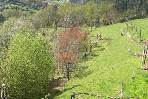 Helårsgrund i Vila Verde, Braga, Vila Verde - € 50.000 | Ref: 08877 - foto 4
