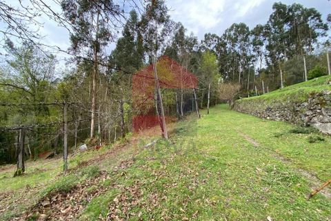 Helårsgrund i Vila Verde, Braga, Vila Verde - € 50.000 | Ref: 08877 - foto 5