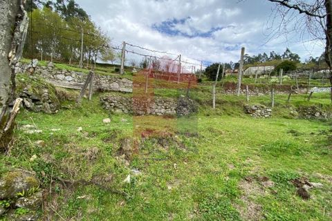 Helårsgrund i Vila Verde, Braga, Vila Verde - € 50.000 | Ref: 08877 - foto 9