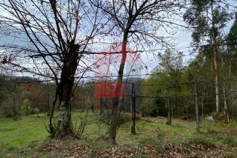 Helårsgrund i Vila Verde, Braga, Vila Verde - € 50.000 | Ref: 08877 - foto 12