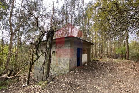 Helårsgrund i Vila Verde, Braga, Vila Verde - € 50.000 | Ref: 08877 - foto 13