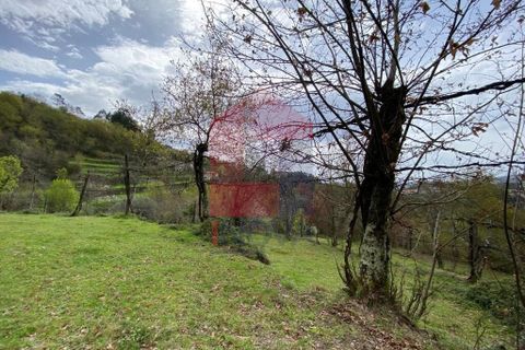 Helårsgrund i Vila Verde, Braga, Vila Verde - € 50.000 | Ref: 08877 - foto 14