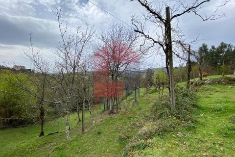 Helårsgrund i Vila Verde, Braga, Vila Verde - € 50.000 | Ref: 08877 - foto 15