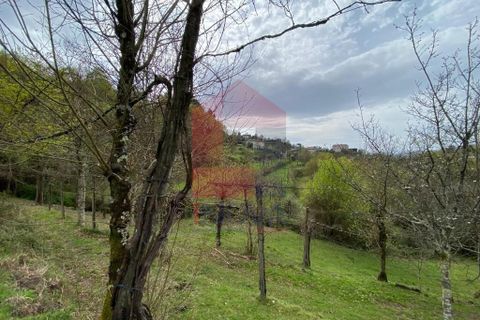 Helårsgrund i Vila Verde, Braga, Vila Verde - € 50.000 | Ref: 08877 - foto 16