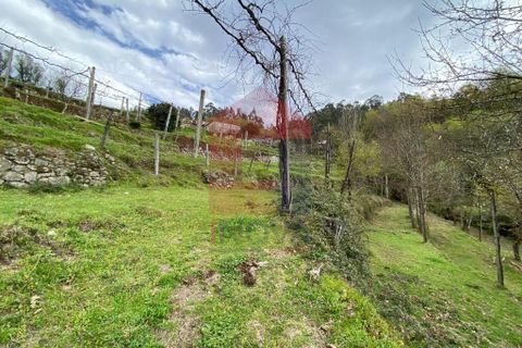 Helårsgrund i Vila Verde, Braga, Vila Verde - € 50.000 | Ref: 08877 - foto 17